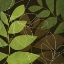 Picture of GREEN AND BROWN LEAVES I