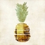 Picture of PINEAPPLE