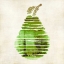 Picture of PEAR