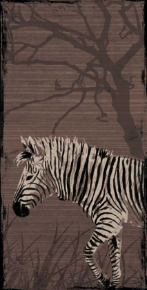 Picture of ZEBRA