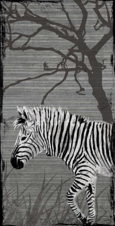 Picture of GREY ZEBRA