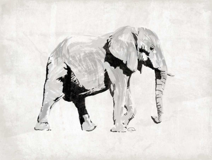 Picture of ELEPHANT