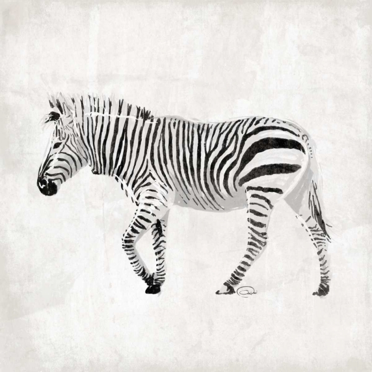 Picture of ZEBRA