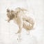 Picture of SKETCH PASSION 2