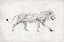 Picture of LION