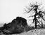 Picture of BODI KID LOOKOUT