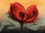 Picture of HOT MAGNOLIA 1