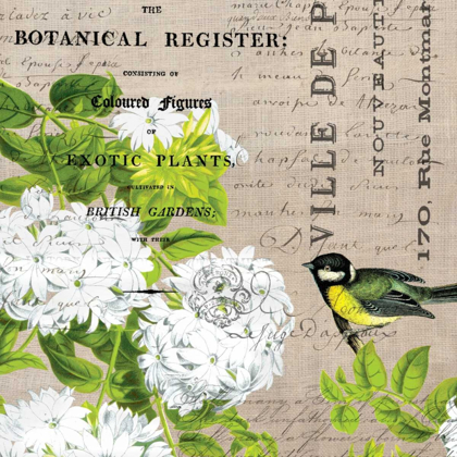 Picture of BOTANICAL REGISTER 2