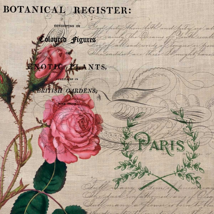 Picture of BOTANICAL REGISTER BOARD