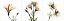 Picture of PINK FLORAL TRYP TYCH I
