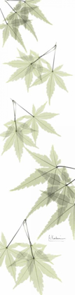 Picture of LEAVES IN GREEN