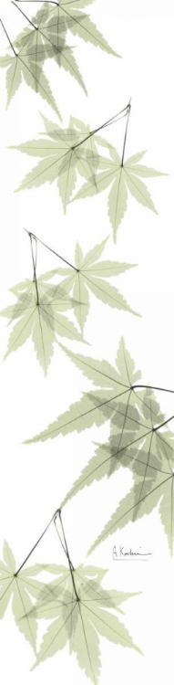 Picture of LEAVES IN GREEN