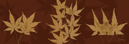 Picture of LEAVES BROWN ON RED 3