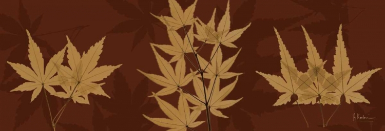 Picture of LEAVES BROWN ON RED 3