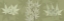 Picture of LEAVES ON GREEN
