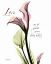 Picture of CALLA LILY IN PINK - LOVE