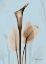 Picture of CALLA LILY BROWN ON BLUE 2