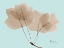Picture of TULIP TREE IN BROWN ON BLUE