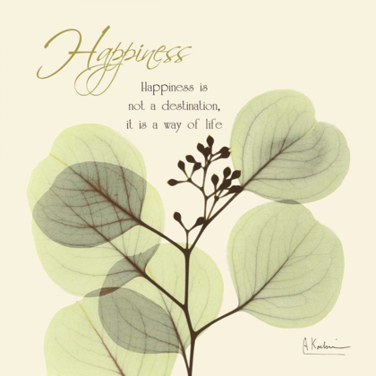 Picture of HAPPINESS EUCALYPTUS L294