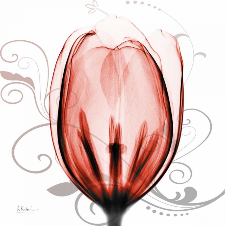 Picture of HAPPY TULIP IN RED