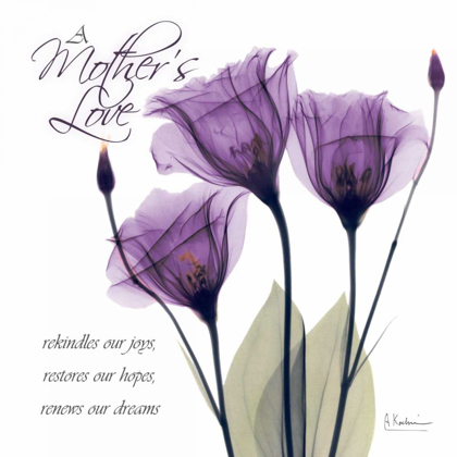 Picture of MOTHERS - PURPLE TULIPS