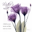 Picture of MOTHERS - PURPLE TULIPS