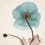 Picture of ICELAND POPPY BELIEVE
