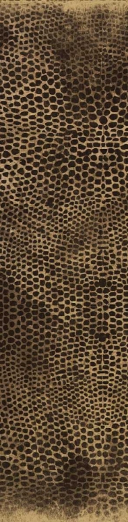 Picture of ANIMAL PRINT2