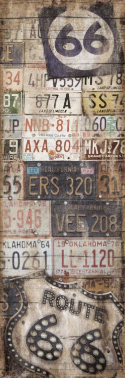 Picture of LICENSE PLATES