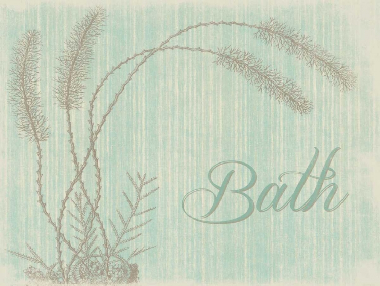 Picture of BATH B