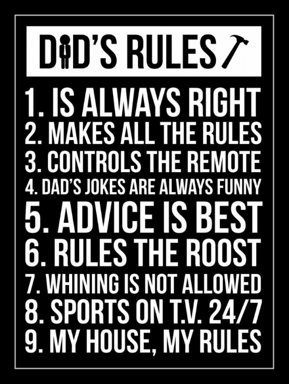 Picture of DADS RULES INVERT