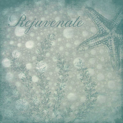 Picture of REJUVENATE BUBBLES