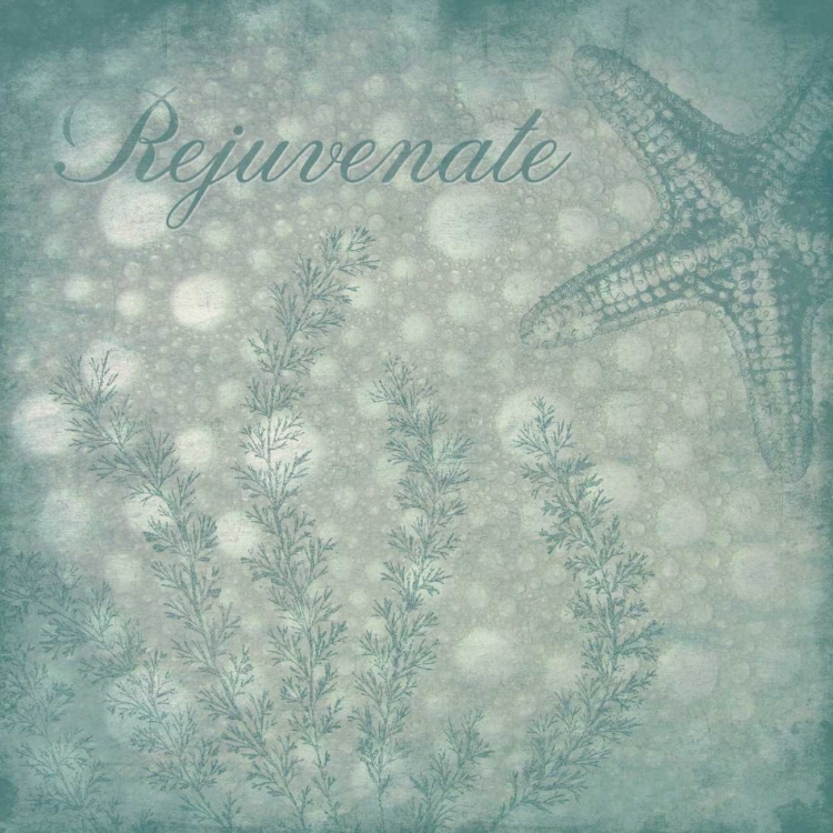 Picture of REJUVENATE BUBBLES