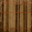 Picture of BURNT ORANGE STRIPES