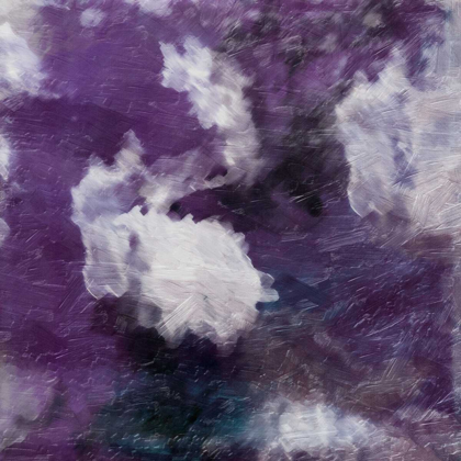 Picture of PURPLE ATMOSPHERE 1