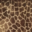 Picture of GIRAFFE PATTERN