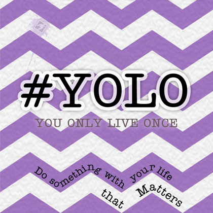 Picture of YOLO