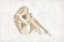 Picture of NUDE POSE