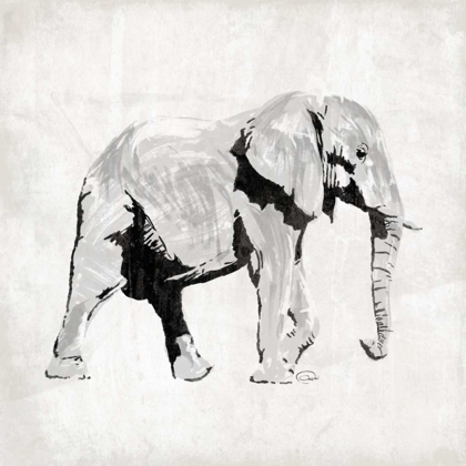 Picture of ELEPHANT