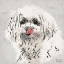 Picture of WET NOSE
