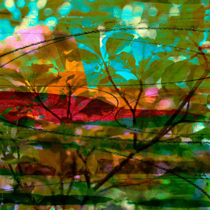 Picture of ABSTRACT LEAF STUDY III