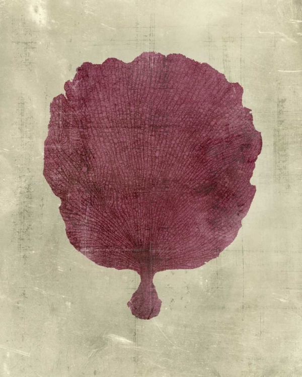 Picture of CORAL IN PLUM