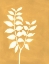Picture of FOUR SEASONS FOLIAGE I