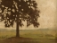 Picture of SHENANDOAH VISTA I