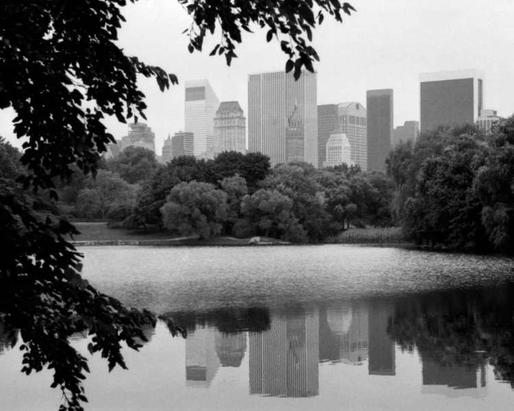 Picture of NYC SKYLINE X