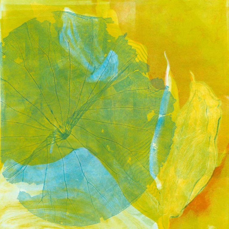 Picture of LOTUS MONOTYPE I