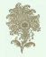 Picture of CELADON FLORAL MOTIF III