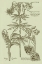 Picture of GARDEN OF FLORA IV