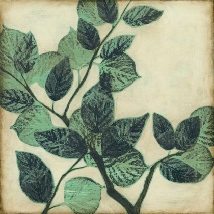 Picture of GRAPHIC LEAVES II