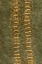 Picture of PRIMITIVE PATTERNS II